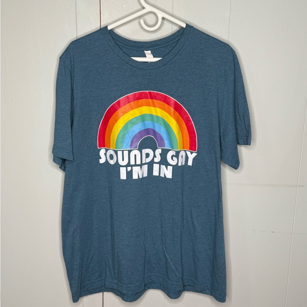 ⭐️3/$25⭐️ Sounds Gay I’m In Rainbow T Shirt
